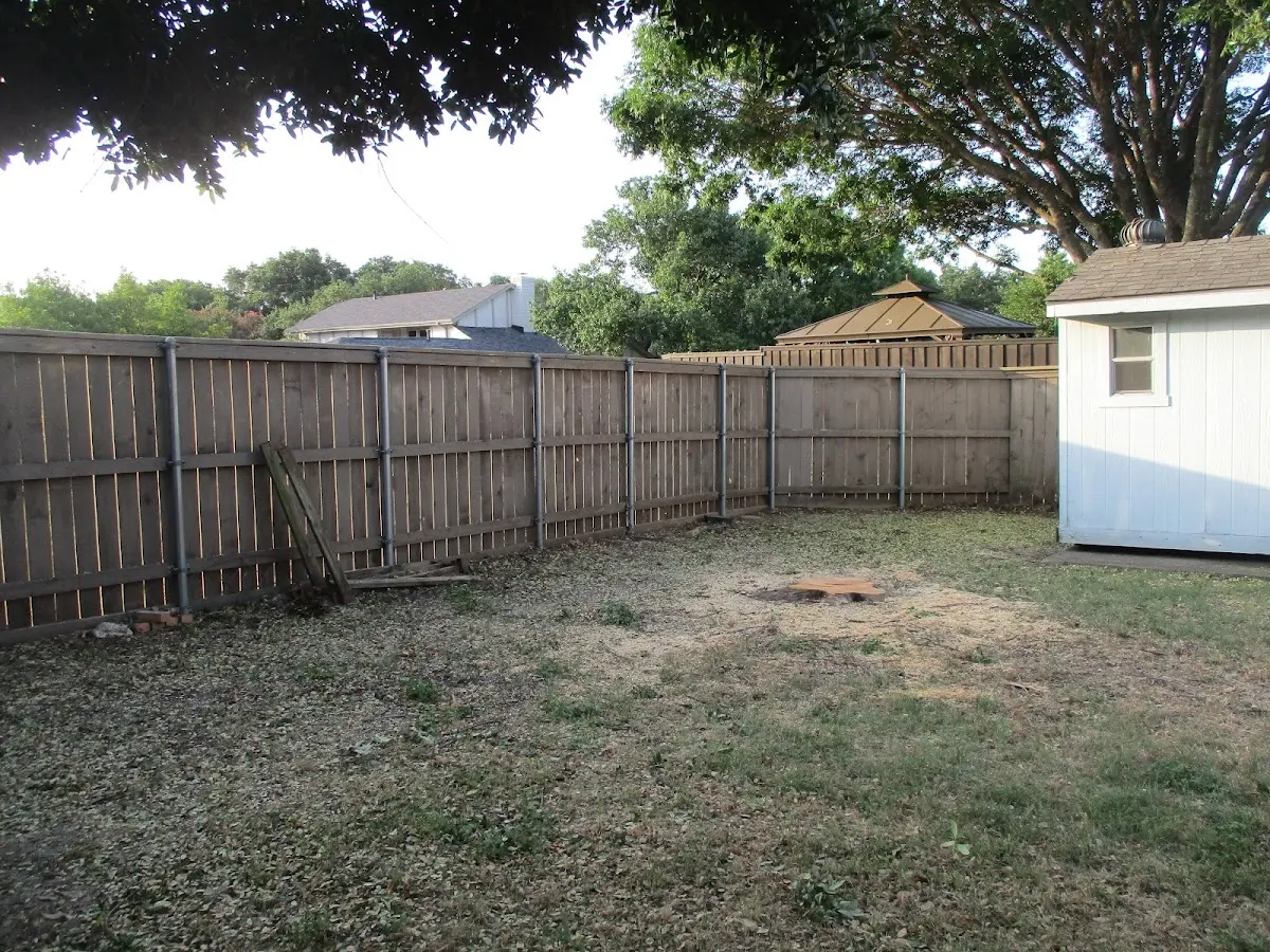 Cleared yard after professional tree removal in Woodward
