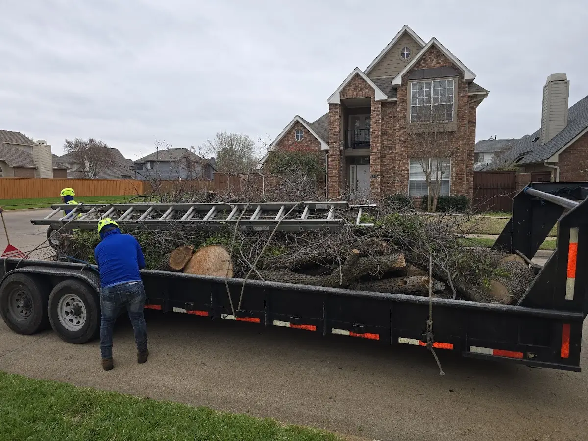 Expert Tree Fertilization with proper safety equipment in Woodward